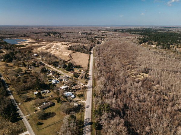 Comment cultiver des artichauts décoratifs en pots sur un balcon?