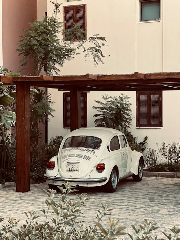 Choisir le bon bois pour un carport réussi : guide essentiel